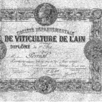 1900: du vin rouge à Pougny